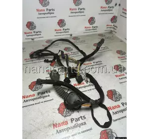 Проводка дверей передньої лівої Renault Trafic 2, 93855996, 8200463976 Проводка дверей передньої лівої Renault Trafic 2, 93855996, 8200463976